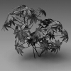 室外植物-动植物-植物-VR/AR模型-3D城