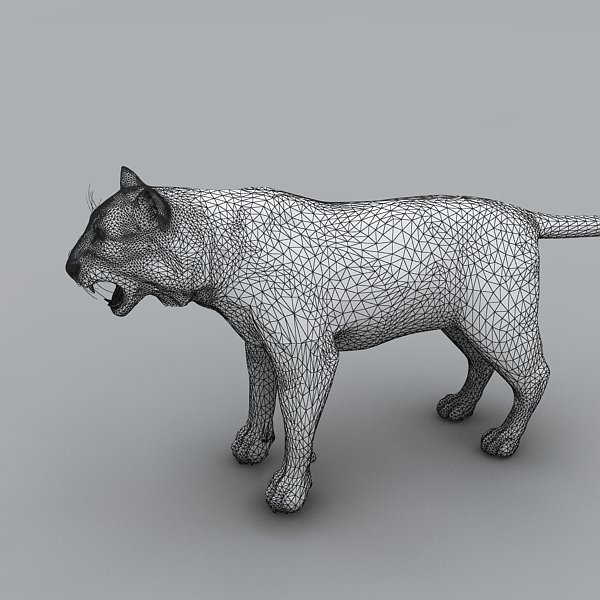 3dcity 专业的vr模型下载与分享平台老虎 动植物 哺乳动物 Vr Ar模型 3d城