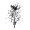 树-动植物-植物-VR/AR模型-3D城