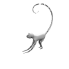 猴子-动植物-哺乳动物-VR/AR模型-3D城