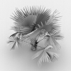 霸王棕-动植物-植物-VR/AR模型-3D城
