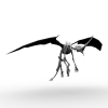 骨龙-动植物-古生物-VR/AR模型-3D城
