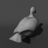 绿头鸭-动植物-鸟类-VR/AR模型-3D城