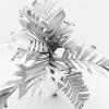 植物槟榔树-动植物-植物-VR/AR模型-3D城