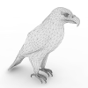 鹰-动植物-鸟类-VR/AR模型-3D城