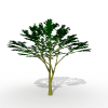 枫木-动植物-植物-VR/AR模型-3D城
