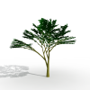 枫木-动植物-植物-VR/AR模型-3D城