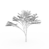 枫木-动植物-植物-VR/AR模型-3D城