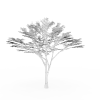 枫木-动植物-植物-VR/AR模型-3D城
