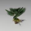 蒲葵-动植物-植物-VR/AR模型-3D城