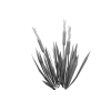 植物-动植物-植物-VR/AR模型-3D城