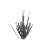 植物-动植物-植物-VR/AR模型-3D城