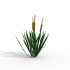 植物-动植物-植物-VR/AR模型-3D城