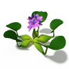 花-动植物-花草-VR/AR模型-3D城