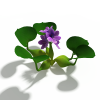 花-动植物-花草-VR/AR模型-3D城