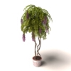 盆景-动植物-盆栽-VR/AR模型-3D城
