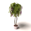 盆景-动植物-盆栽-VR/AR模型-3D城