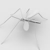 蚊-动植物-昆虫-VR/AR模型-3D城