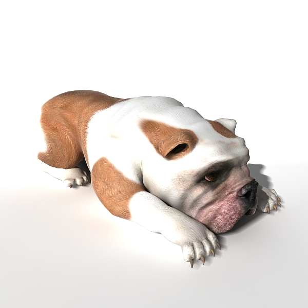 3dcity 专业的vr模型下载与分享平台巴哥 动植物 哺乳动物 Vr Ar模型 3d城