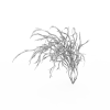 植物-动植物-花草-VR/AR模型-3D城