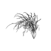 植物-动植物-花草-VR/AR模型-3D城