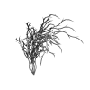 植物-动植物-花草-VR/AR模型-3D城