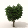 室外植物-动植物-植物-VR/AR模型-3D城