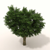 室外植物-动植物-植物-VR/AR模型-3D城
