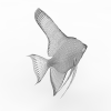 鱼-动植物-鱼类-VR/AR模型-3D城