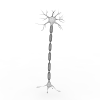 Neuron Cell-科技-医疗设备-VR/AR模型-3D城