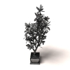 盆景-动植物-盆栽-VR/AR模型-3D城