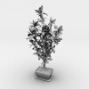 盆景-动植物-盆栽-VR/AR模型-3D城
