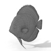 鱼-动植物-鱼类-VR/AR模型-3D城