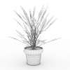 花盆-动植物-盆栽-VR/AR模型-3D城