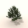 室外植物-动植物-植物-VR/AR模型-3D城