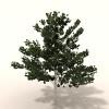 室外植物-动植物-植物-VR/AR模型-3D城