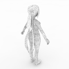 女孩-角色人体-角色-VR/AR模型-3D城
