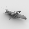 飞蝗-动植物-昆虫-VR/AR模型-3D城