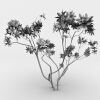 室外植物-动植物-植物-VR/AR模型-3D城