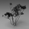 室外植物-动植物-植物-VR/AR模型-3D城