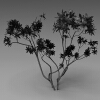 室外植物-动植物-植物-VR/AR模型-3D城