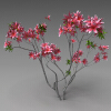 室外植物-动植物-植物-VR/AR模型-3D城