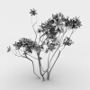 室外植物-动植物-植物-VR/AR模型-3D城