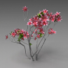 室外植物-动植物-植物-VR/AR模型-3D城
