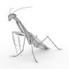 Praying Mantis-动植物-昆虫-VR/AR模型-3D城