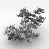 室外植物-动植物-植物-VR/AR模型-3D城