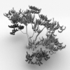 室外植物-动植物-植物-VR/AR模型-3D城