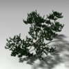 室外植物-动植物-植物-VR/AR模型-3D城