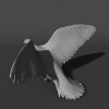 信鸽-动植物-鸟类-VR/AR模型-3D城