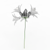 agapanthus-动植物-花草-VR/AR模型-3D城
